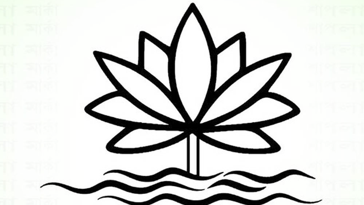 শাপলা। ছবি : সংগৃহীত