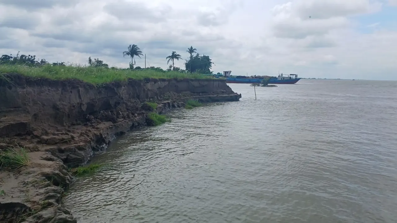 ফরিদপুরের সদরপুর উপজেলার ঢেউখালী ইউনিয়নের শয়তানখালীতে পদ্মার ভাঙনের চিত্র। ছবি : কালবেলা
