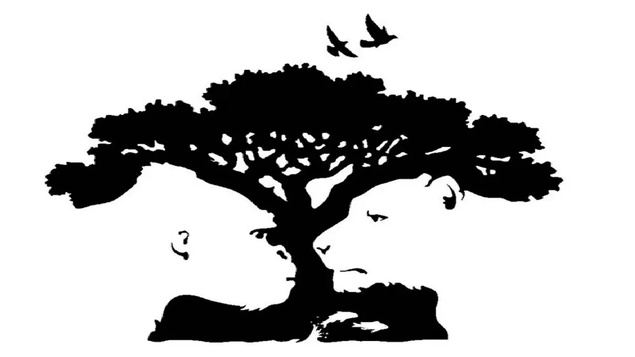 অপটিক্যাল ইলিউশন। ছবি : সংগৃহীত
