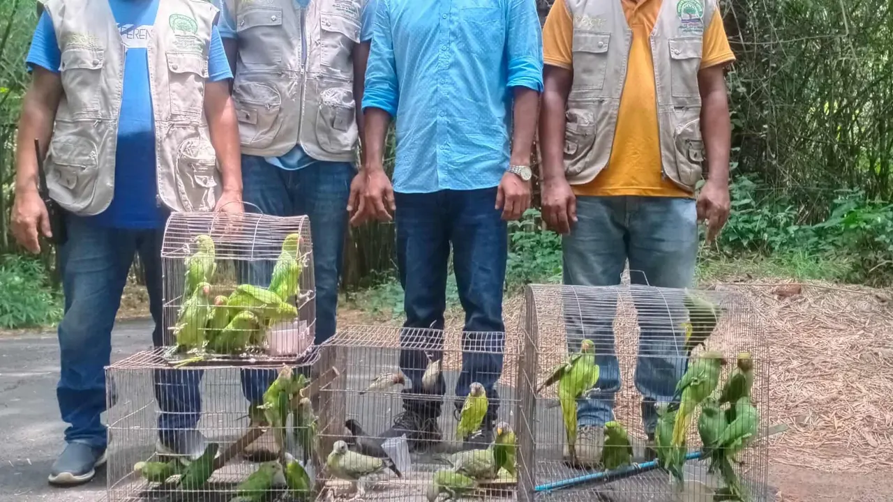 জব্দ করা পাখি। ছবি : কালবেলা