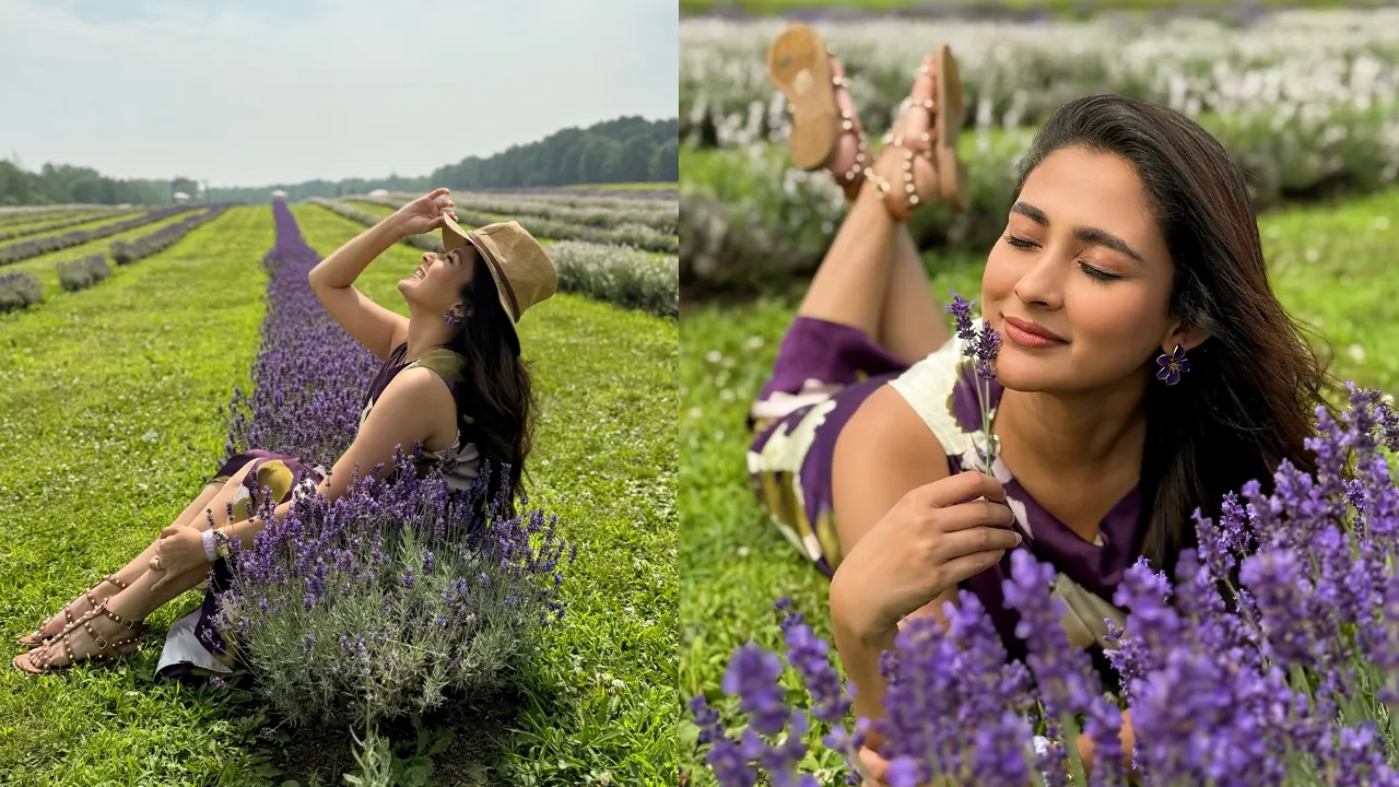 মেহজাবীন চৌধুরী। ছবি : সংগৃহীত