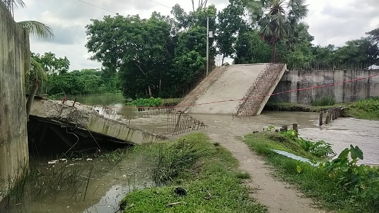 পিরোজপুরের নেছারাবাদে একটি গার্ডার ব্রিজ খালে ভেঙে পড়েছে। ছবি : কালবেলা