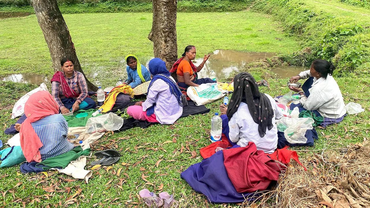 ‘চা পাতার ভর্তা আর রুটি খেয়েই চলে দিন’