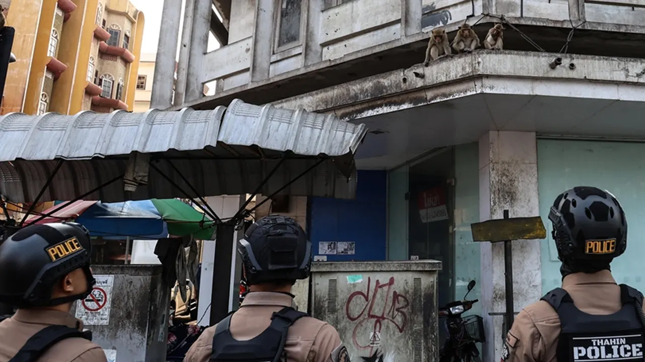 ছবি : সংগৃহীত