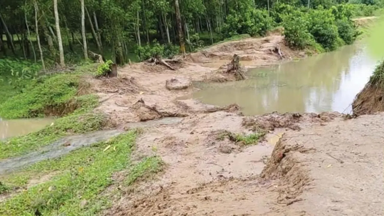 বাঁধের ভাঙা অংশ দিয়ে লোকালয়ে পানি ঢুকে যায়। ছবি : কালবেলা