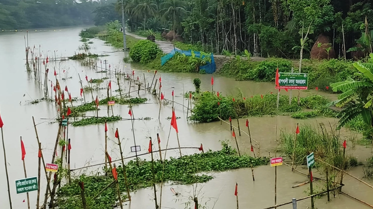 দেশীয় মাছের উৎপাদন বৃদ্ধিতে বাঁশ দিয়ে বেড়া ও সংরক্ষিত এলাকায় লাল পতাকা টাঙানো হয়েছে। ছবি : কালবেলা