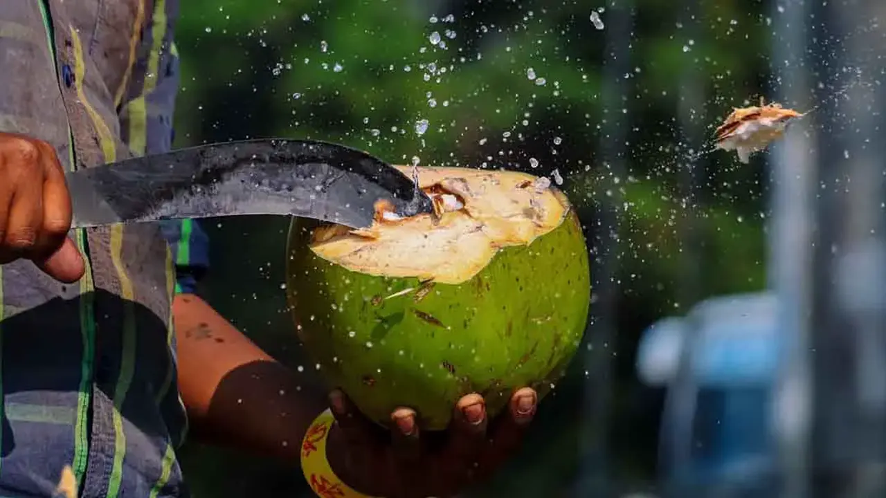 ডাবের পানি