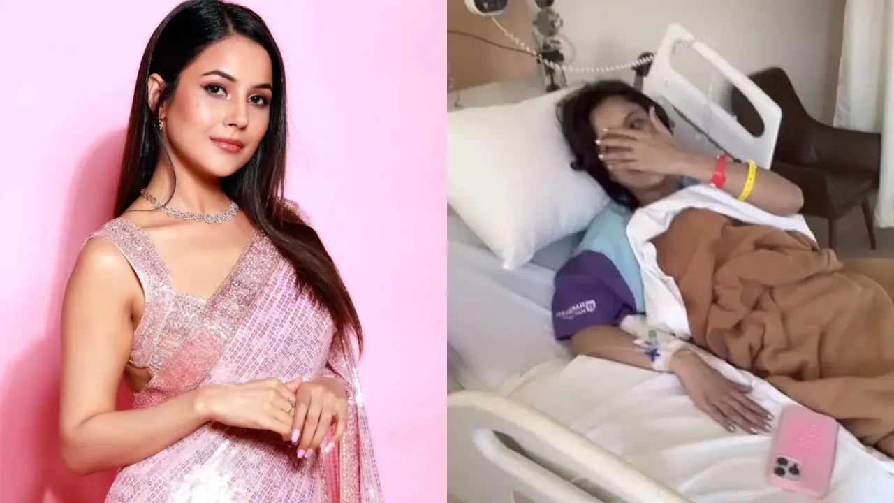 শেহনাজ গিল । ছবি : সংগৃহীত