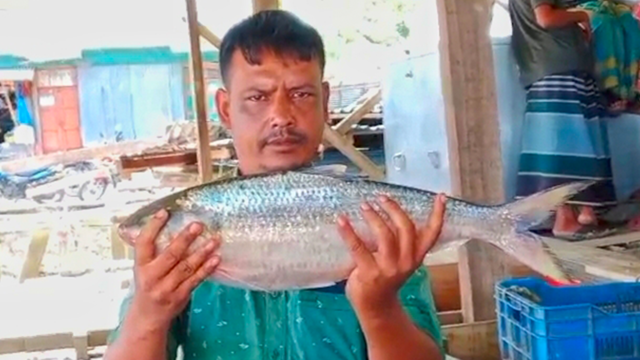 আড়াই কেজি ওজনের ইলিশ হাতে ব্যবসায়ী। ছবি : কালবেলা