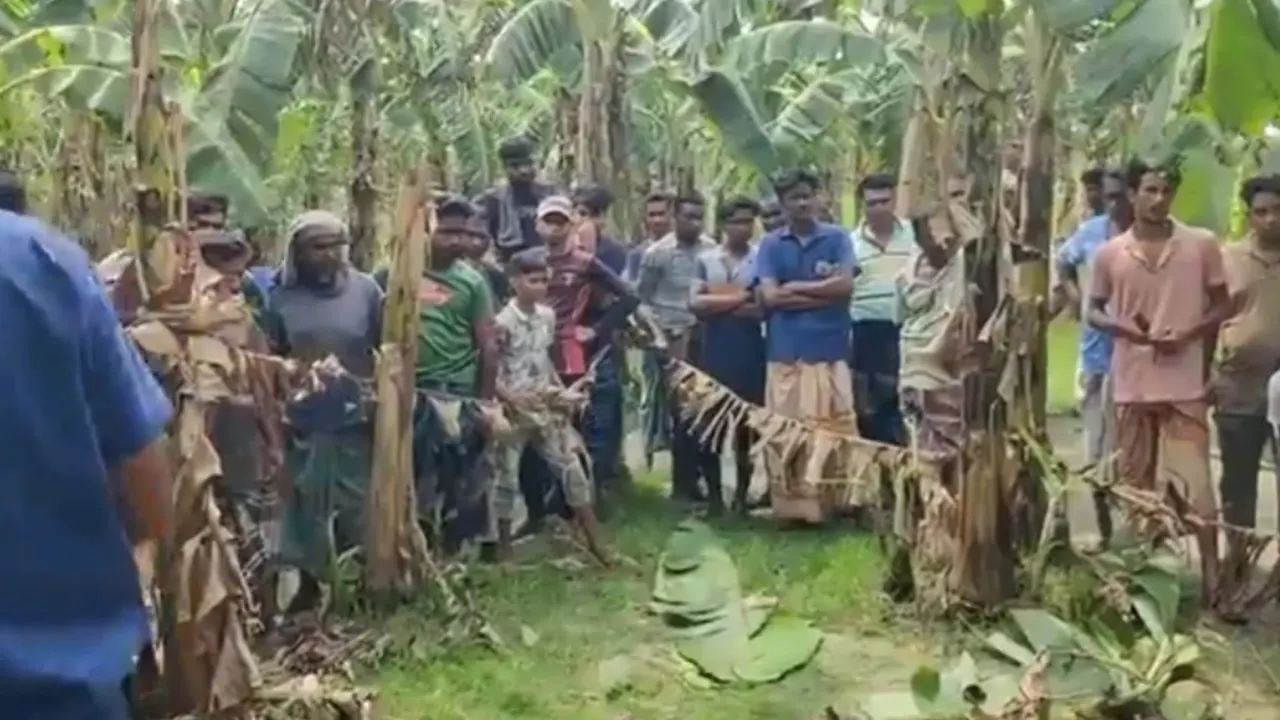 কলাবাগানে পড়ে থাকা মরদেহ দেখতে স্থানীয়দের ভিড়। ছবি : কালবেলা