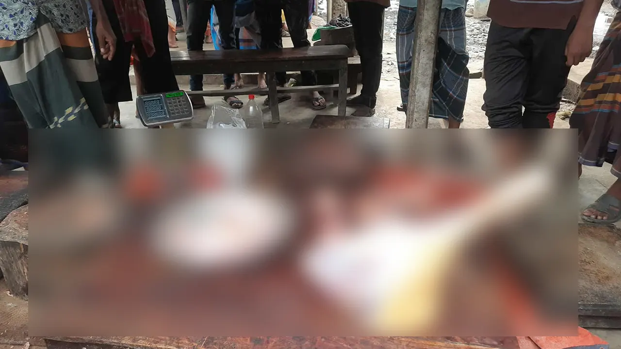 রাজশাহীর পুঠিয়ায় গর্ভের বাচ্চাসহ গরু জবাই করে মাংস বিক্রির চিত্র। ছবি : কালবেলা