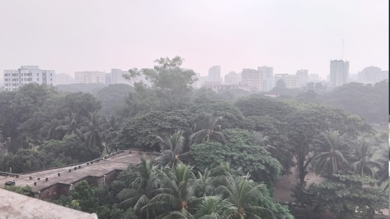 কুয়াশায় আচ্ছন্ন রাজধানীর আকাশ। ছবি : কালবেলা