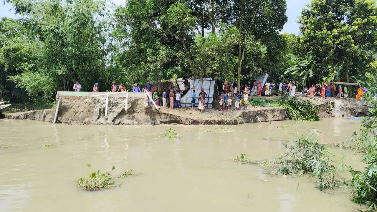 যমুনার তীব্র স্রোতে প্রায় ২৫টি বসতভিটা নদীতে বিলীন হয়ে গেছে। ছবি : কালবেলা