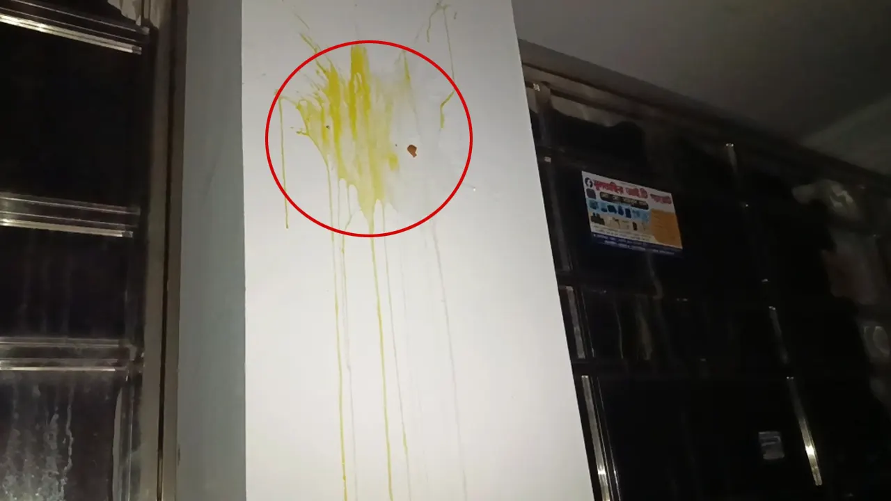 অভিযুক্ত জাহিদ হাসানের গ্রামের বাড়িতে ডিম নিক্ষেপ করেছেন এনসিপির নেতাকর্মী ও ছাত্র-জনতা। ছবি : কালবেলা