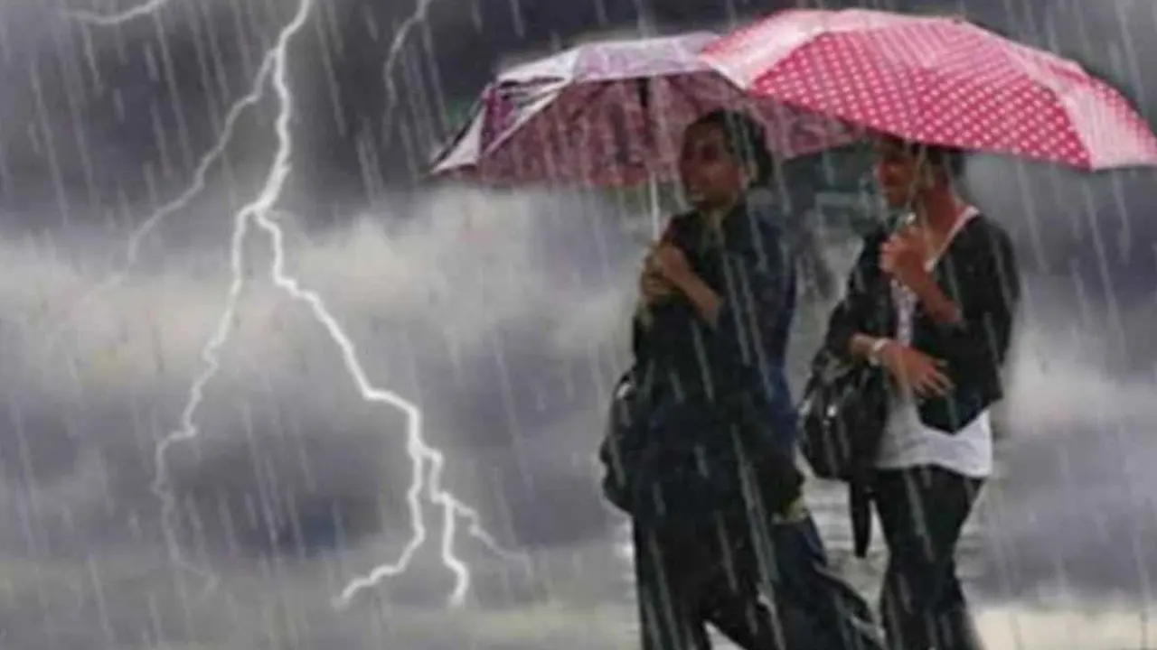 ছবি : সংগৃহীত