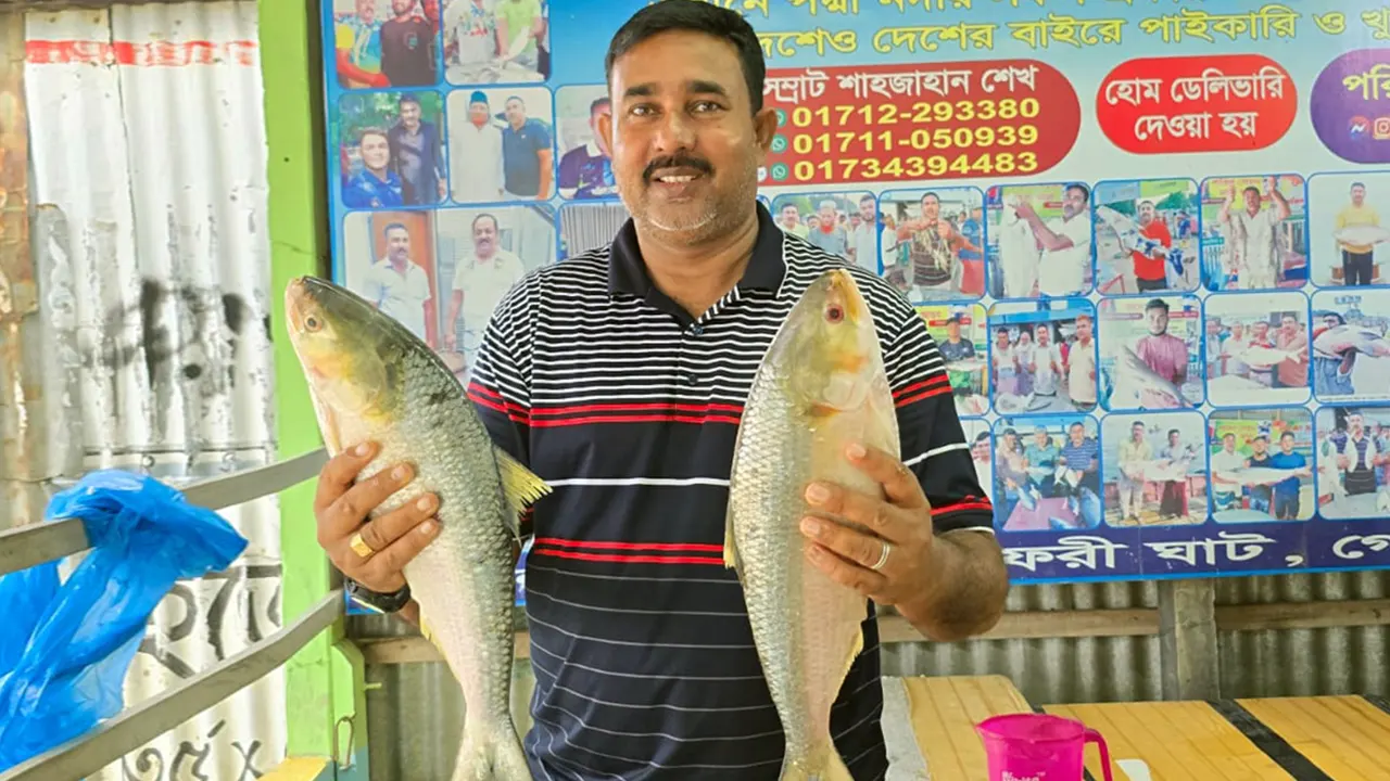 পদ্মার দুই ইলিশ সাড়ে ১৭ হাজারে বিক্রি হয়েছে। ছবি : কালবেলা