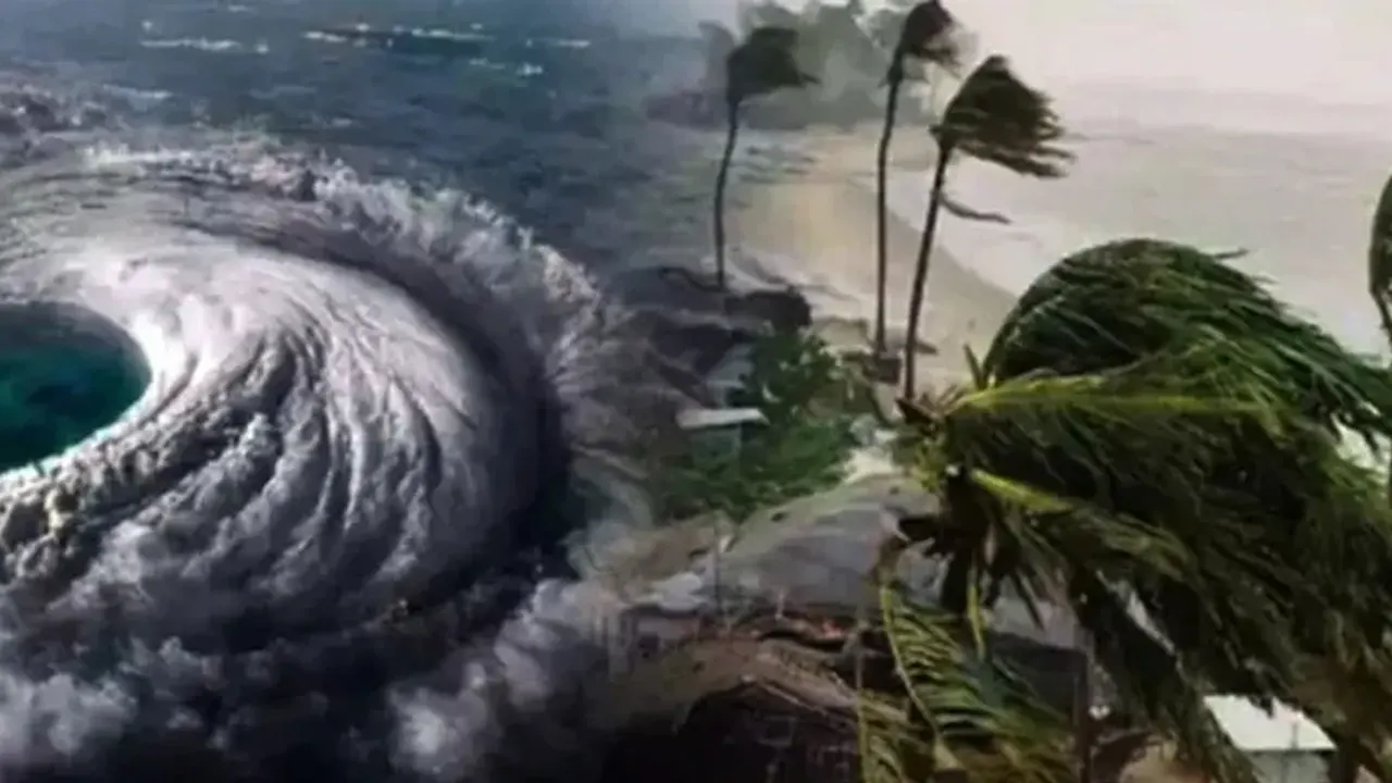 ছবি : সংগৃহীত