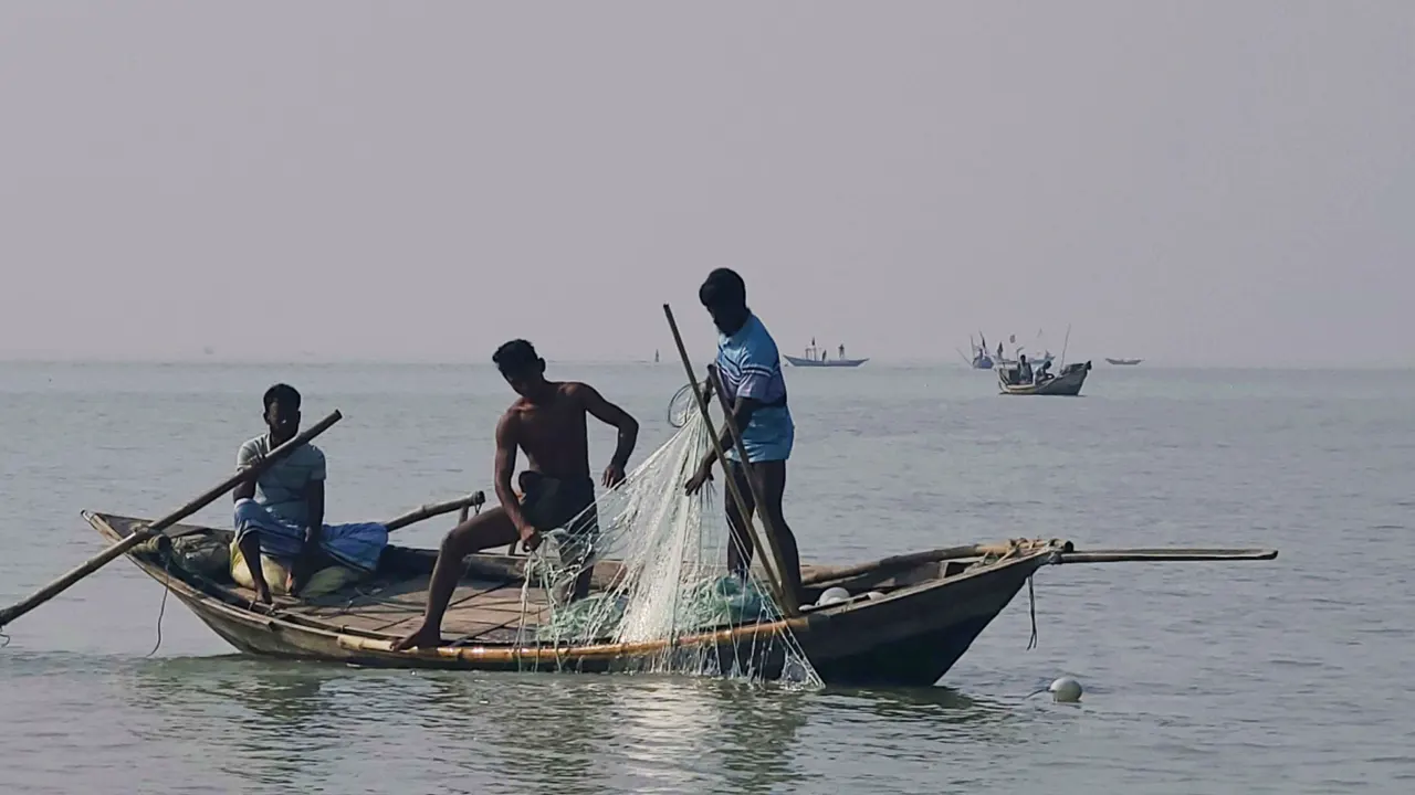 মেঘনা নদীতে মাছ শিকারে জেলেরা। ছবি : কালবেলা