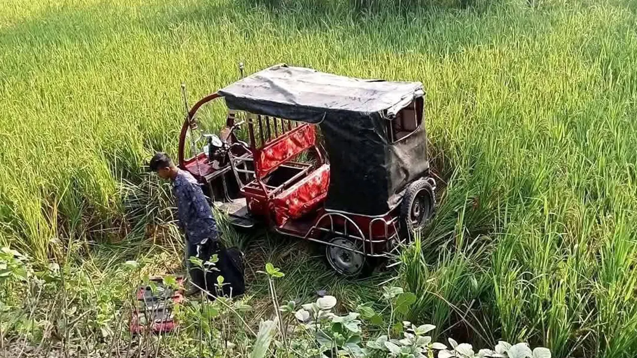 নিয়ন্ত্রণ হারিয়ে ধানক্ষেতে উল্টে গেল অটোরিকশা, নিহত ২