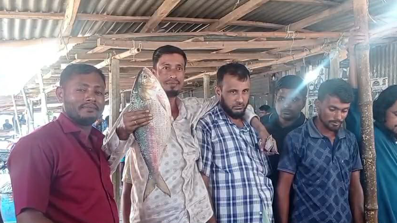 এক ইলিশের ওজন আড়াই কেজি, বিক্রি হলো কত