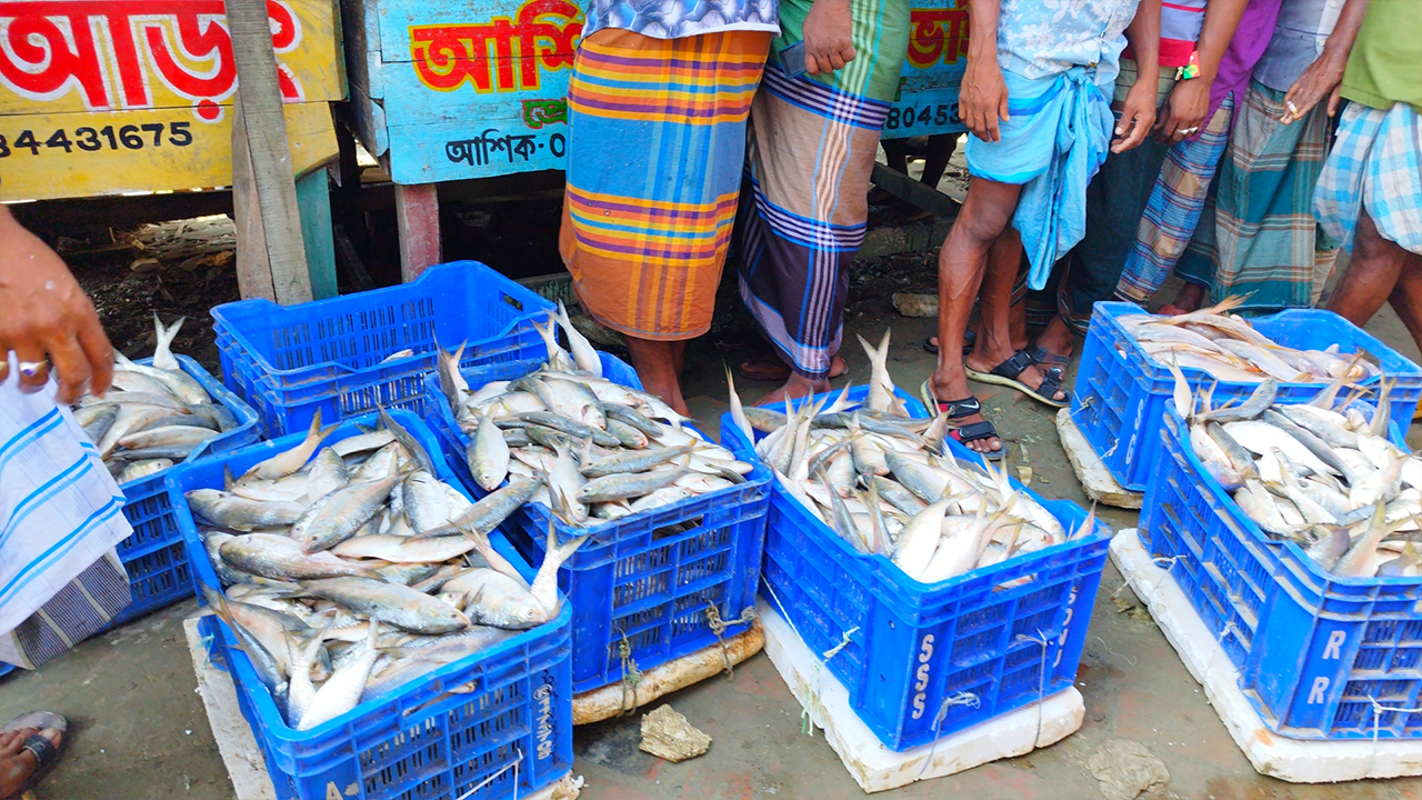 ঘাটে ফিরেছে প্রাণচাঞ্চল্য