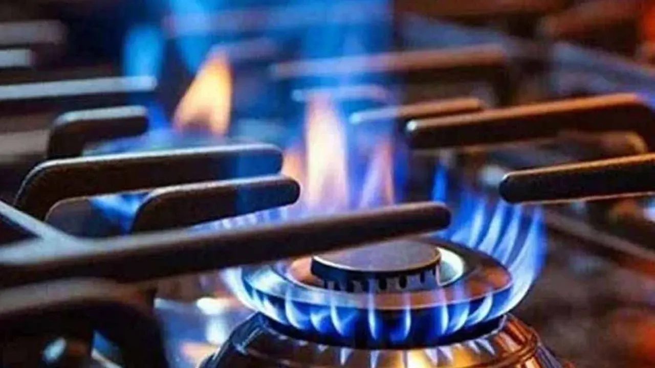 গ্যাসের চুলা। ছবি : সংগৃহীত