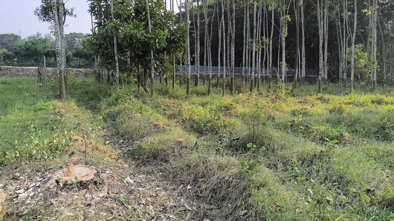 স্কুল প্রতিষ্ঠার নামে কৃষকের জমি দখলের অভিযোগ