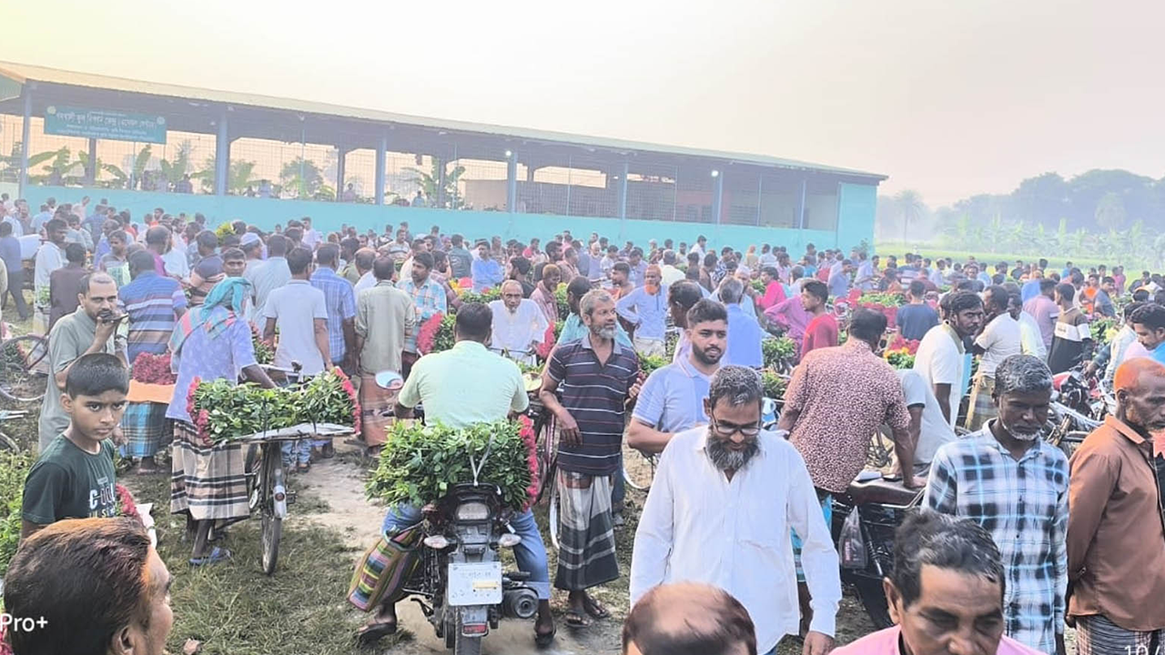 সরানো হলো যশোরের ঐতিহ্যবাহী গদখালী ফুলের বাজার