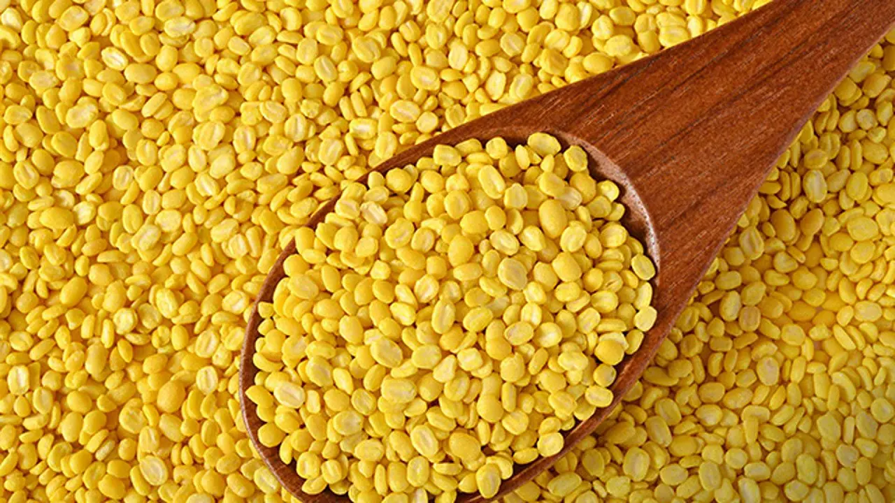 ‘মথবীজে’ ক্ষতিকর রঙ মিশিয়ে মুগ ডাল হিসেবে বিক্রি