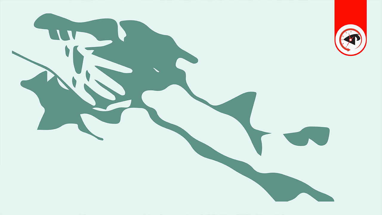 মাকে কুপিয়ে হত্যার পর পালিয়েছে শাহিন