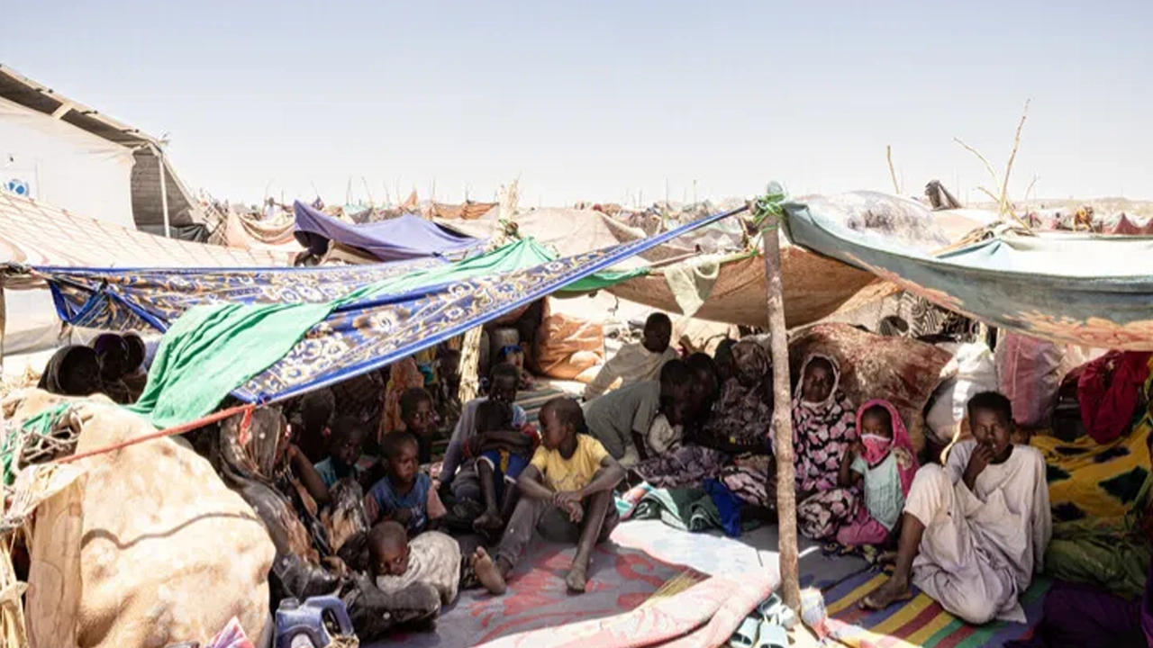 এল ফাশেরে ১৪ হাজারের বেশি বেসামরিক নিহত