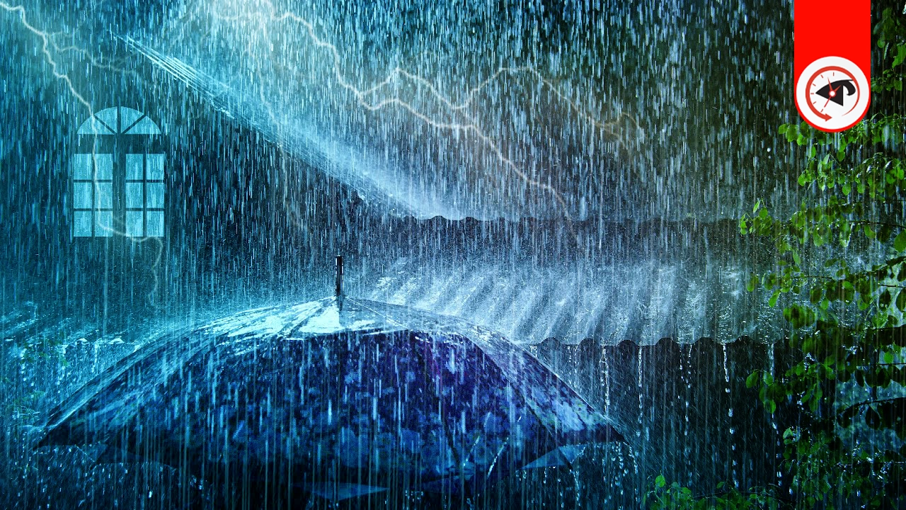 ঘূর্ণিঝড় ‘মোন্থা’: বিকেলের মধ্যেই বৃষ্টি হতে পারে যেসব জেলায়