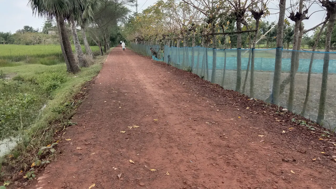 সড়কের কাজ ফেলে লাপাত্তা ঠিকাদার