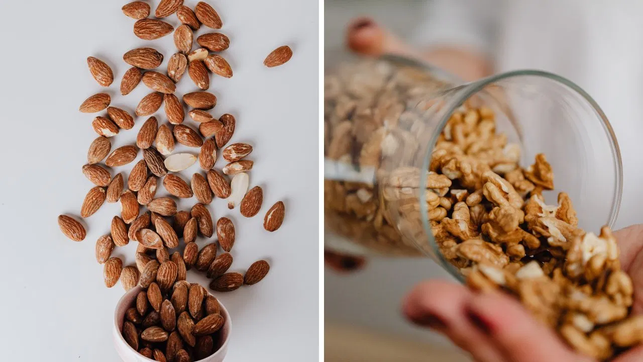 আখরোট নাকি কাঠবাদাম, শীতে শরীরের জন্য কোনটি বেশি উপকারী?