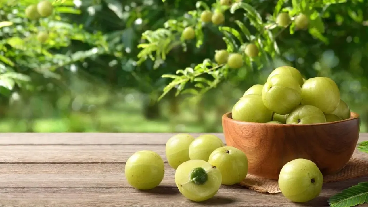 প্রতিদিন সকালে আমলকী খাওয়ার জাদুকরী গুণ জানলে অবাক হবেন