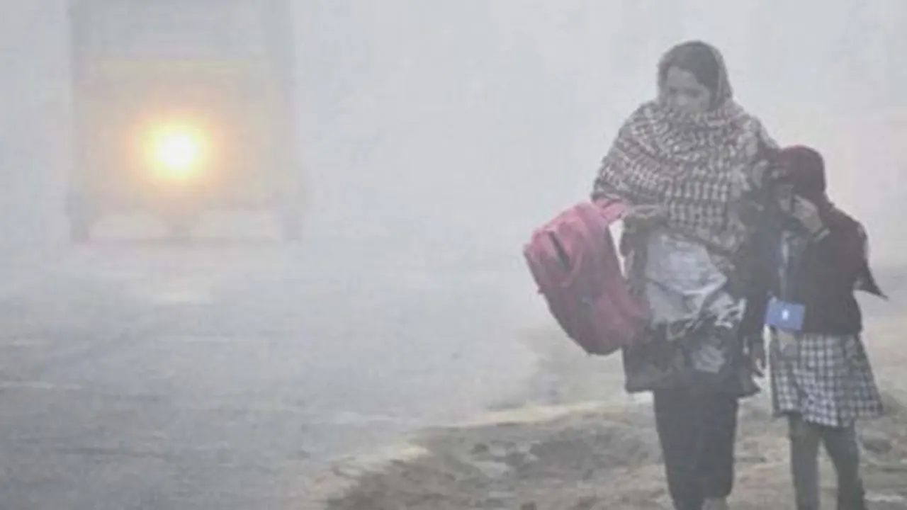 তীব্র শৈত্যপ্রবাহ নিয়ে যা জানাল আবহাওয়া অফিস