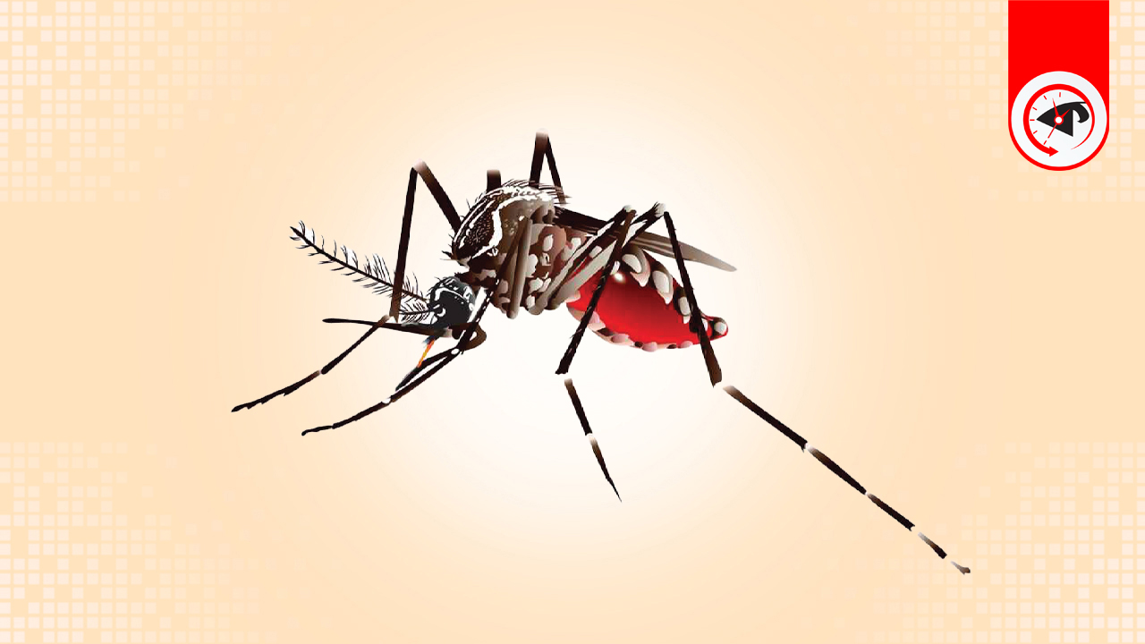 ডেঙ্গুতে এক দিনে ১০ জনের মৃত্যু