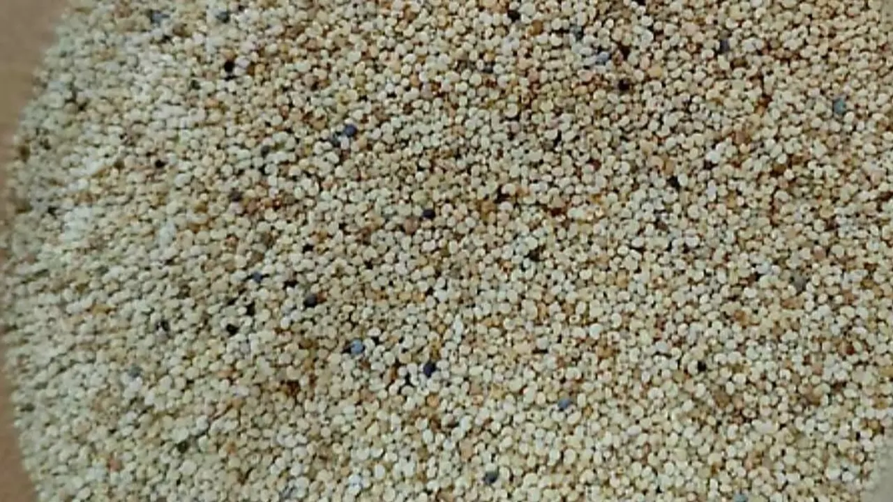 পাখির খাদ্যের আড়ালে এলো নিষিদ্ধ পণ্য