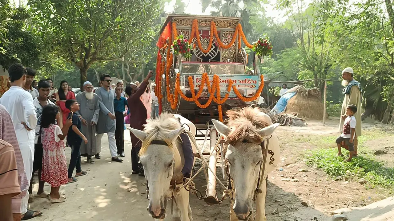ঘোড়ার গাড়িতে চড়ে কনের বাড়ি গেলেন বর