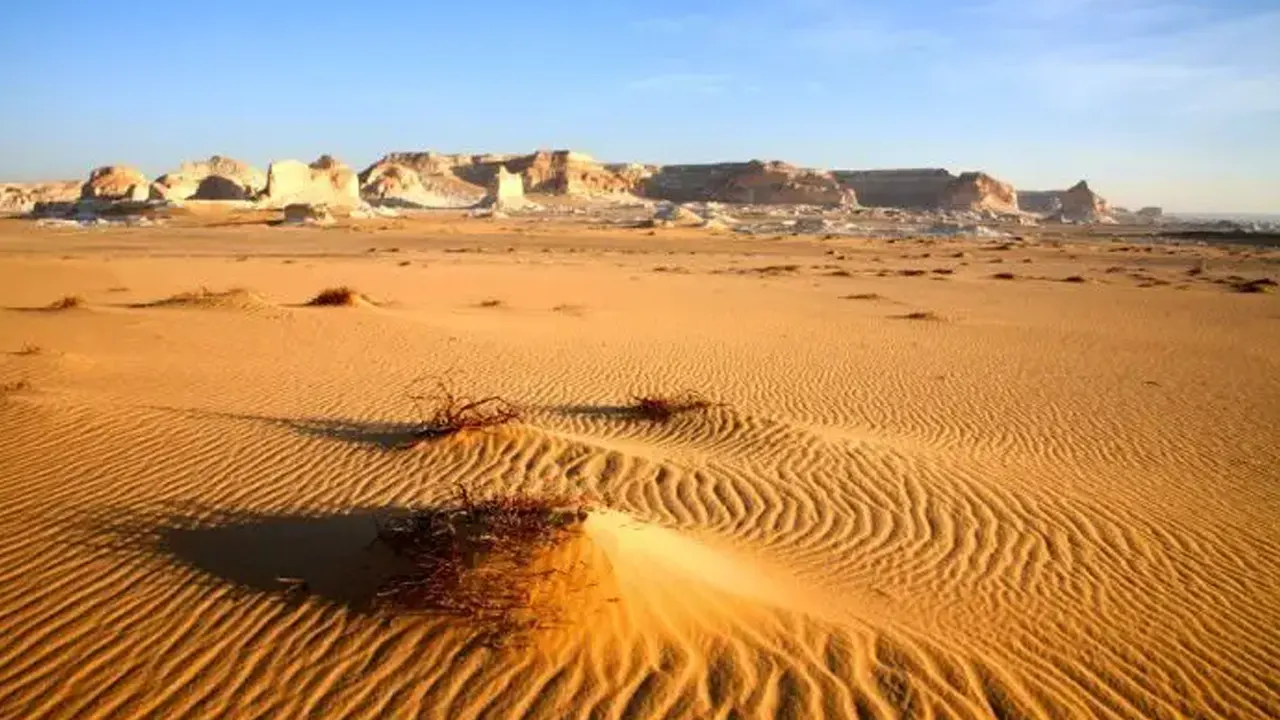 মিশরের মরু এলাকা। ছবি: সংগৃহীত