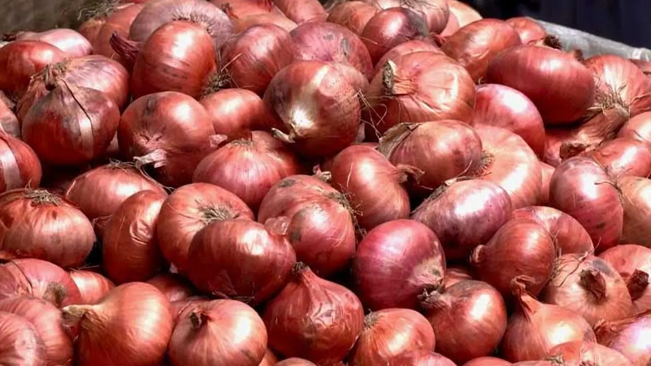 চার-পাঁচ দিনের মধ্যে পেঁয়াজের দাম না কমলে আমদানির অনুমোদন : বাণিজ্য উপদেষ্টা
