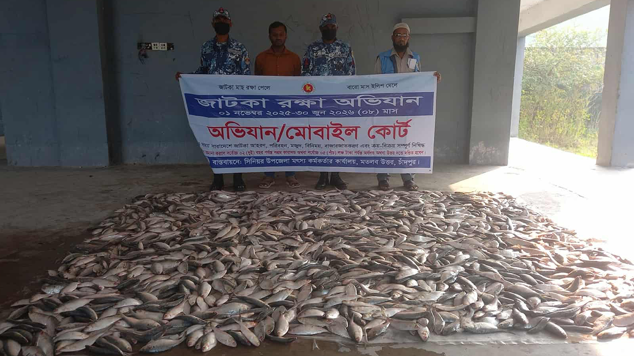 যাত্রীবাহী লঞ্চ থেকে জব্দ জাটকা গেল এতিমখানায়