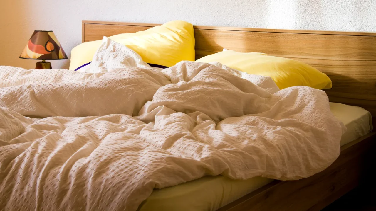 সময় মতো বিছানার চাদর ধুচ্ছেনতো?