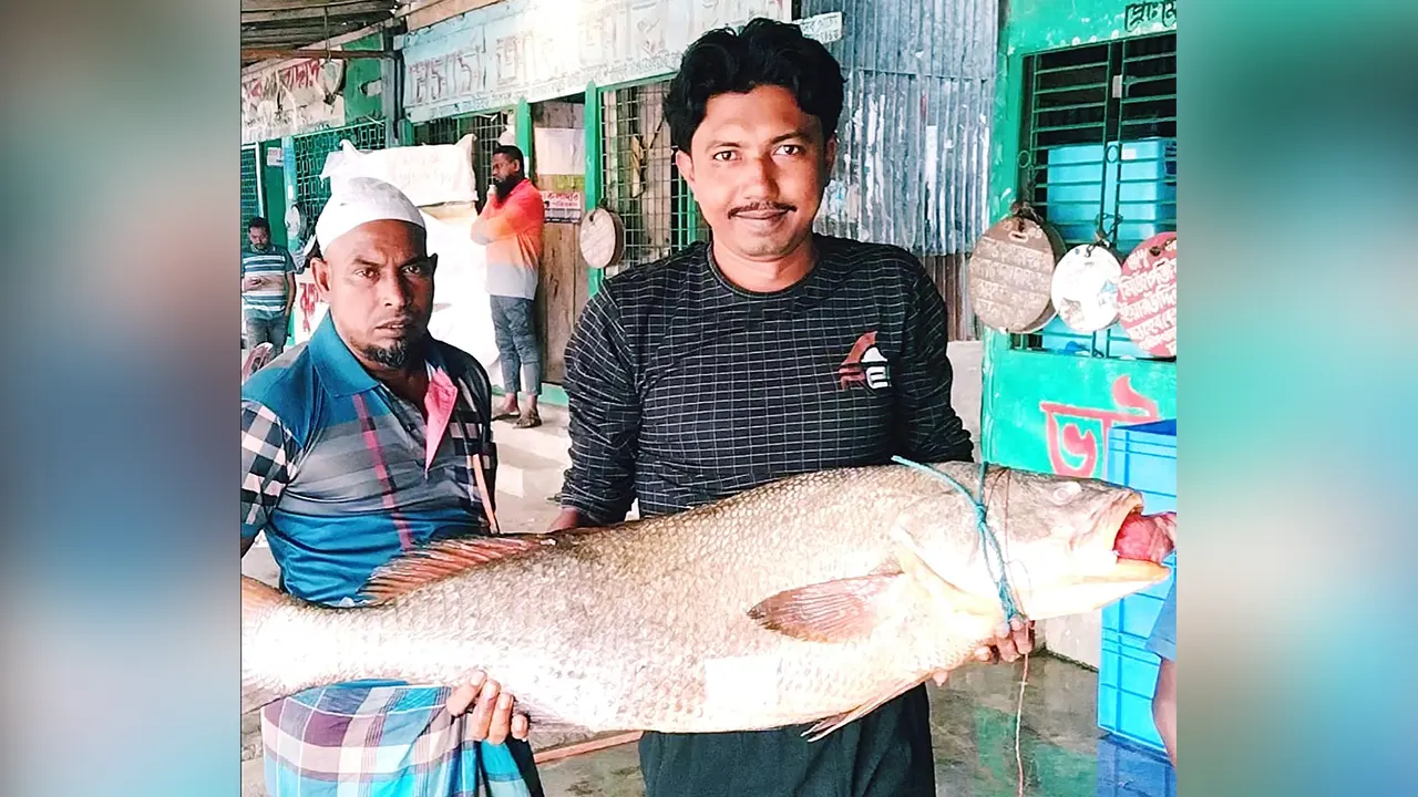 বঙ্গোপসাগরে বড়শিতে ধরা পড়ল ৩৭ কেজির ‘কালো পোয়া’