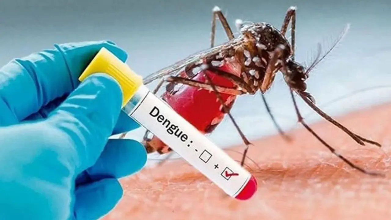 বরিশালে ডেঙ্গুতে মৃতের সংখ্যা বেড়ে ৪৫, নতুন আক্রান্ত ১৭৯