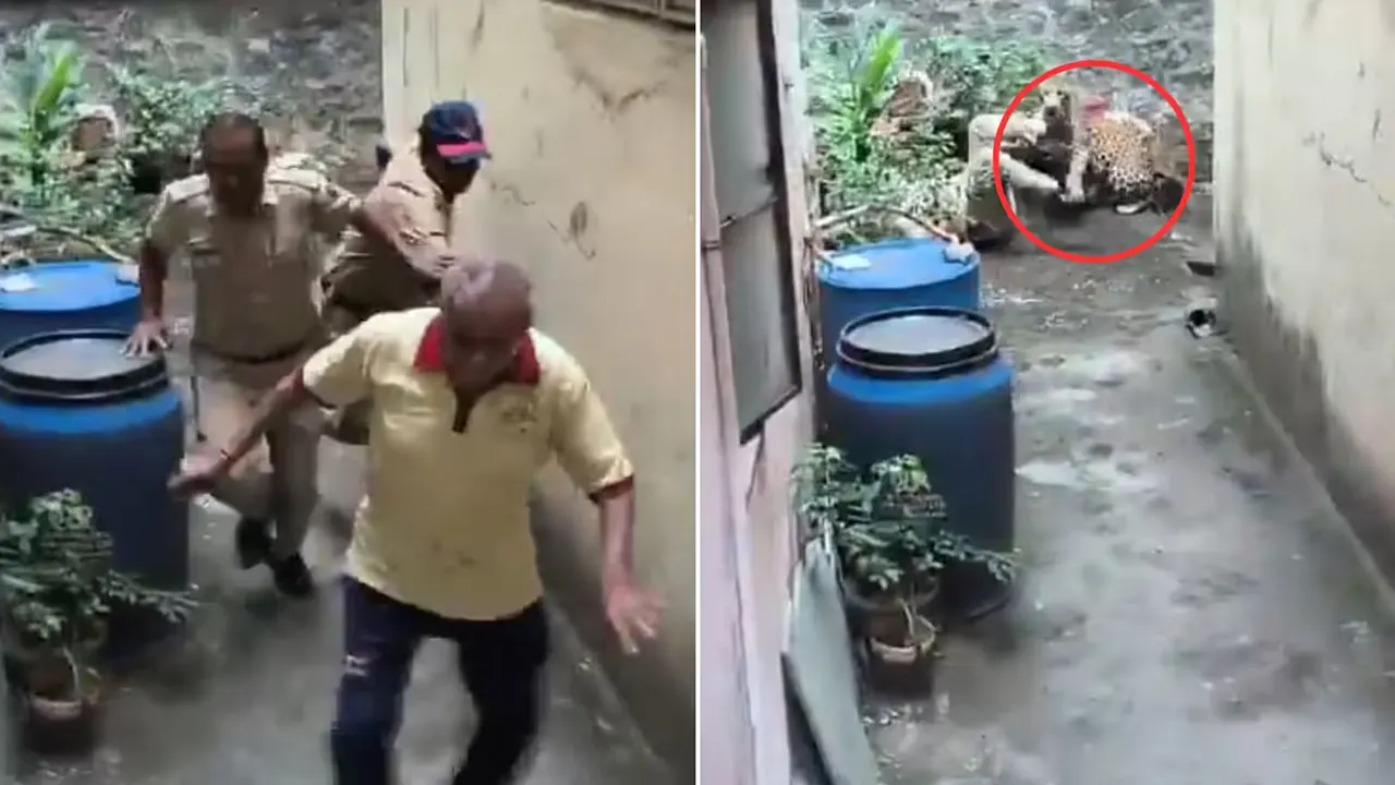 বাঘ ধরতে গিয়ে বিপদে পুলিশ, ভিডিও ভাইরাল