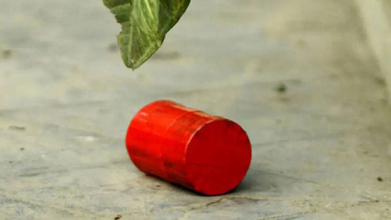 ধানমন্ডিতে ৪ ককটেলসহ একজন আটক