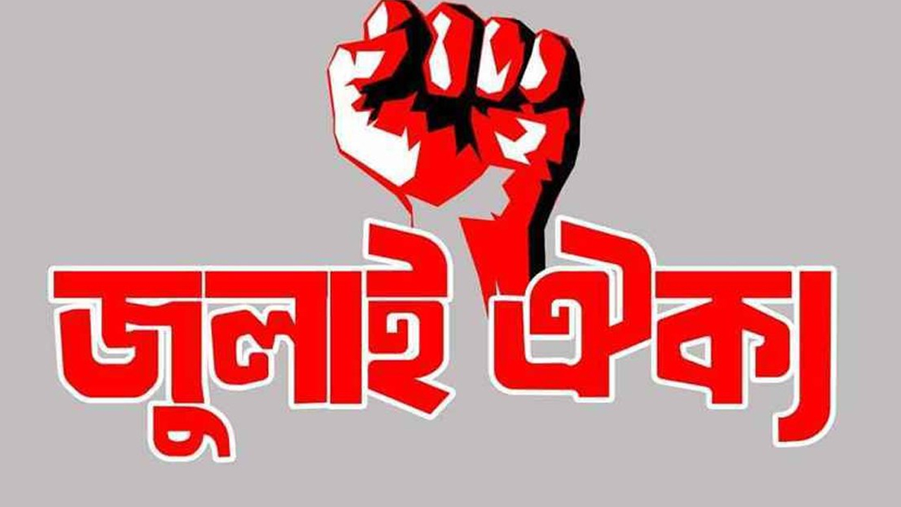 অন্তর্বর্তী সরকার দেশকে অস্থিতিশীল পরিস্থিতির দিকে ঠেলে দিচ্ছে