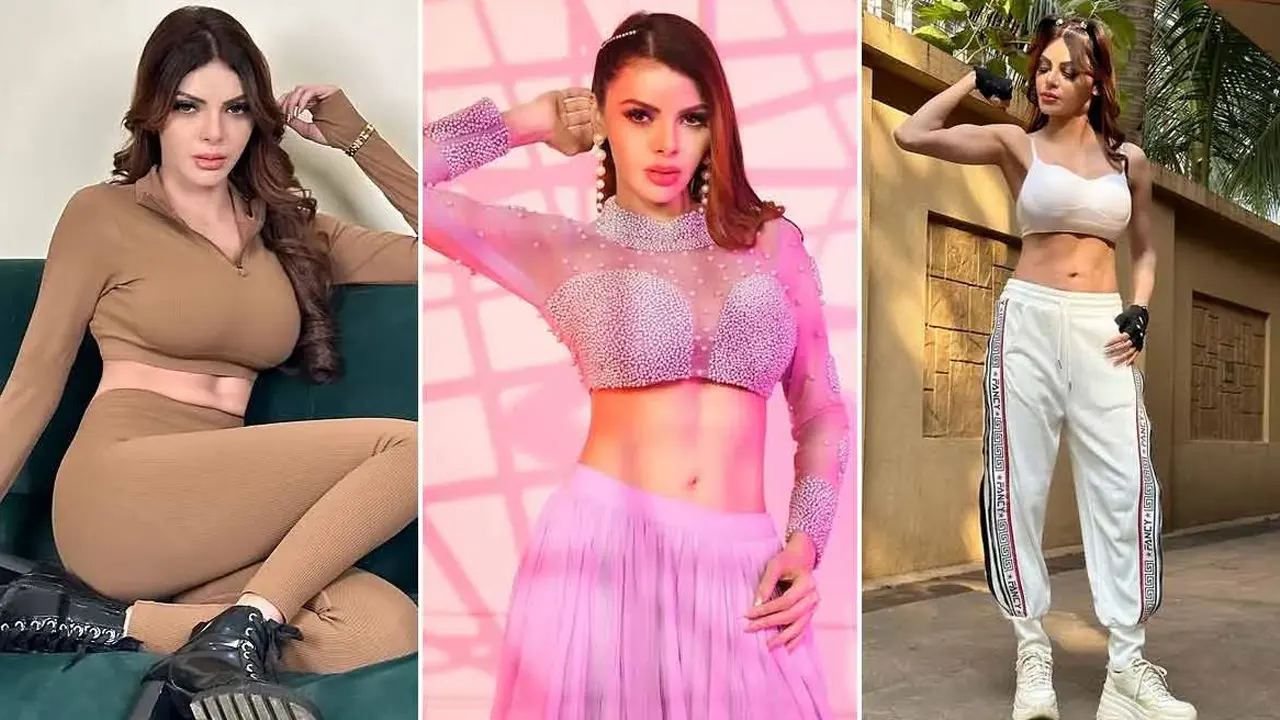 শার্লিন চোপড়া I ছবি: সংগৃহীত