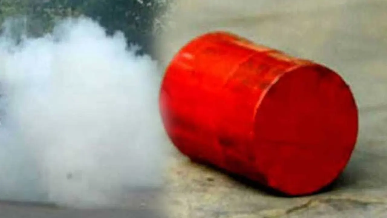 ককটেল। ছবি : পুরোনো